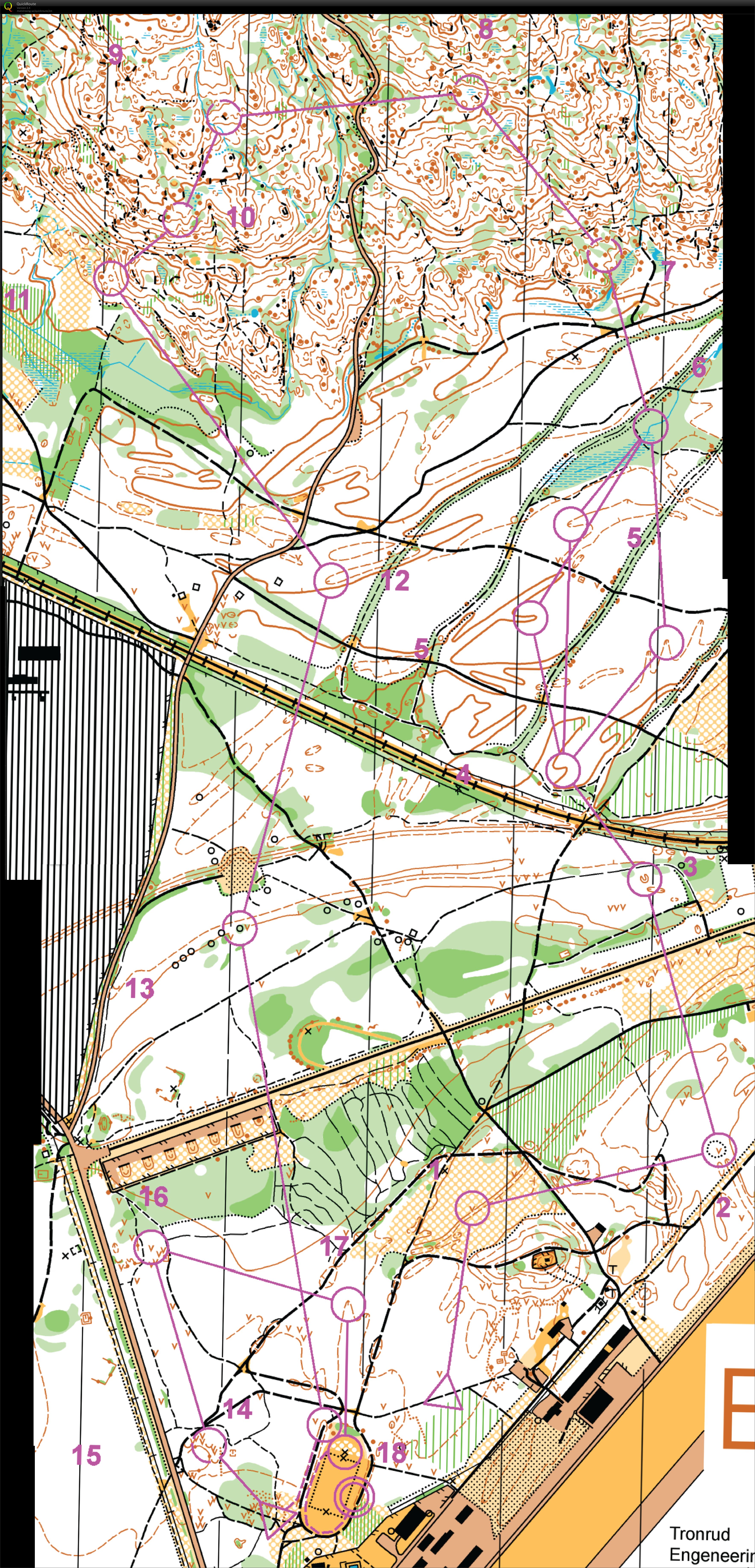 NightHawk Day (05/08/2017)