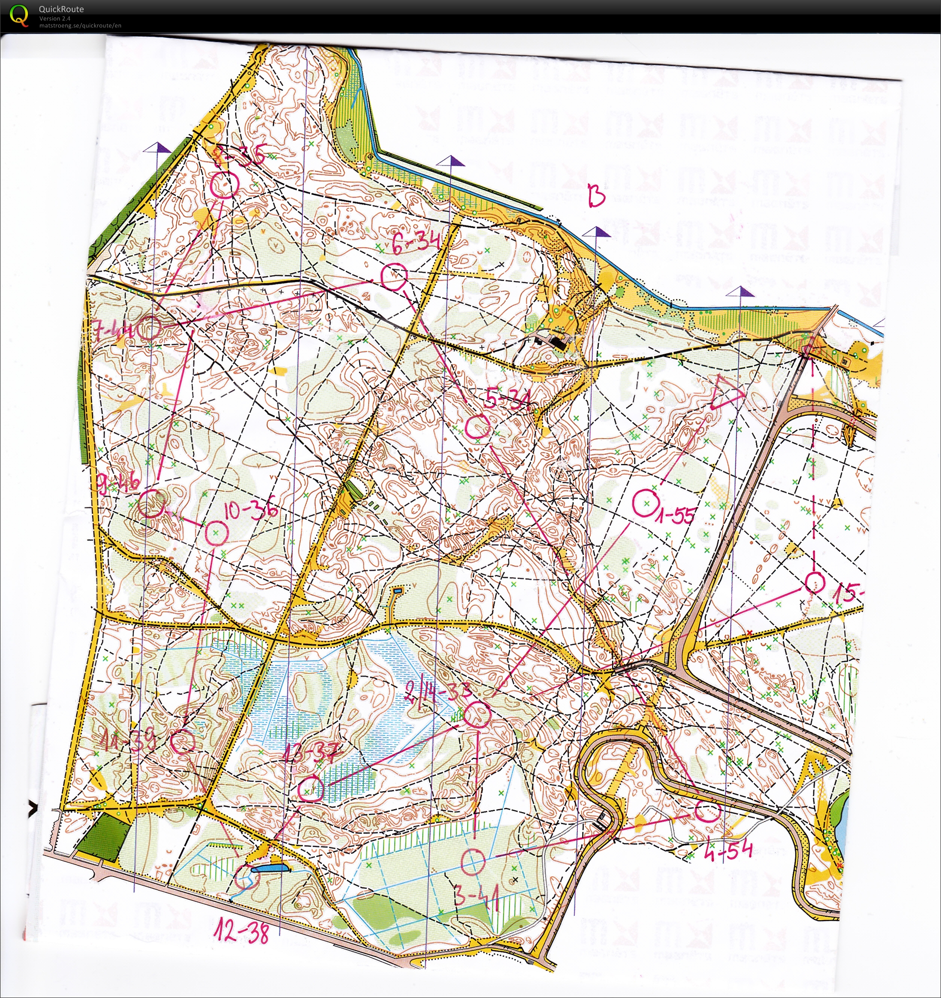 Night training for Jukola (10/06/2013)
