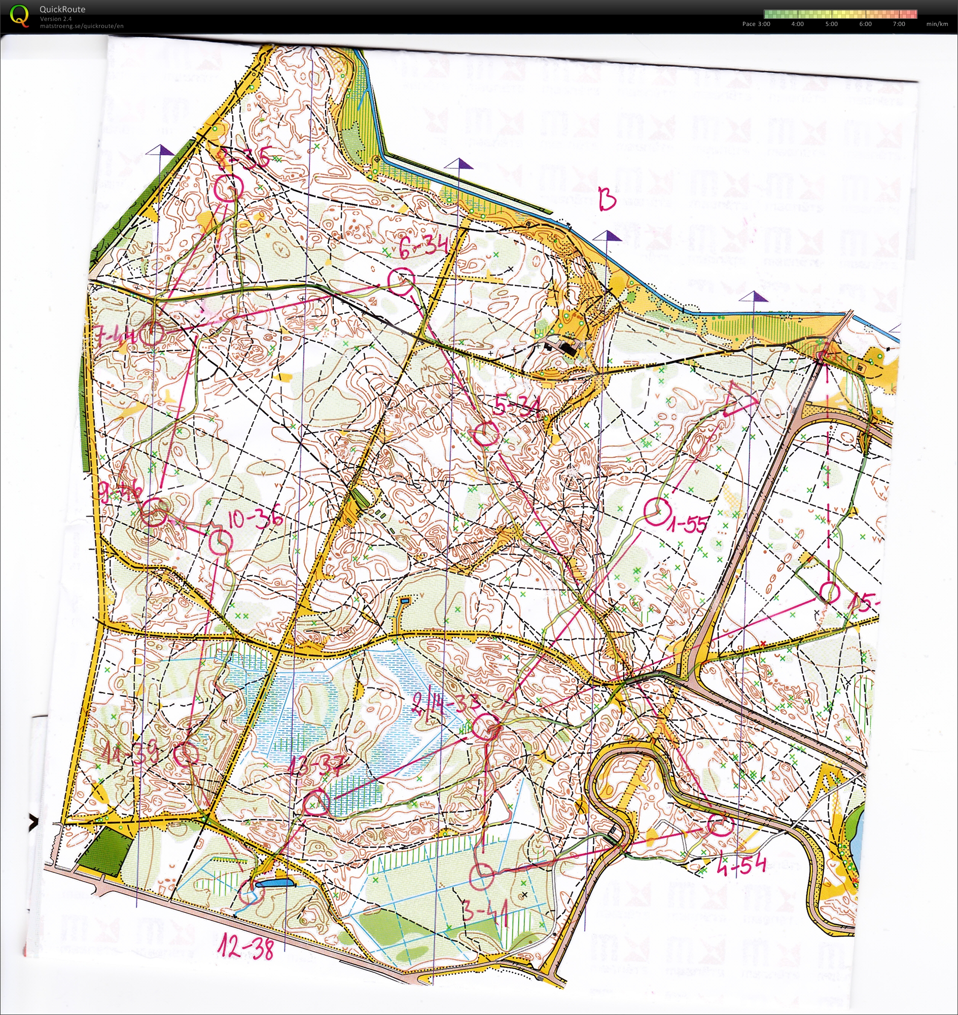 Night training for Jukola (10/06/2013)